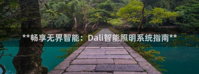 **畅享无界智能：Dali智能照明系统指南**