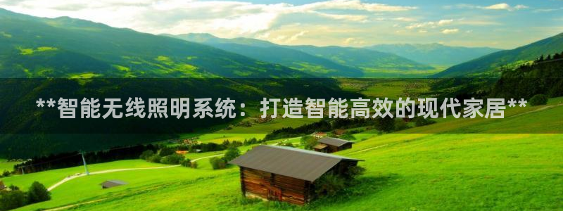 **智能无线照明系统：打造智能高效的现代家居**