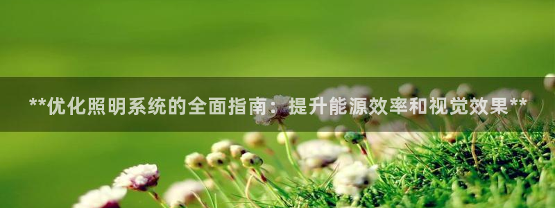**优化照明系统的全面指南：提升能源效率和视觉效果**