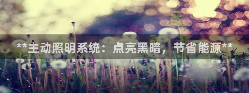 **主动照明系统：点亮黑暗，节省能源**