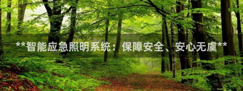 **智能应急照明系统：保障安全、安心无虞**