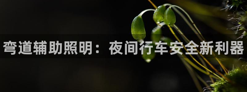 弯道辅助照明：夜间行车安全新利器