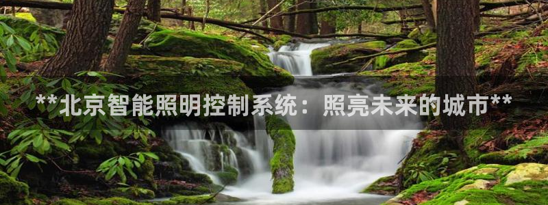 **北京智能照明控制系统：照亮未来的城市**