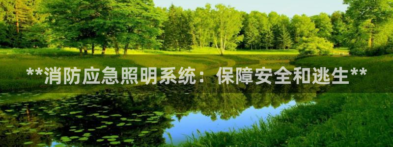 **消防应急照明系统：保障安全和逃生**