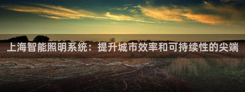 上海智能照明系统：提升城市效率和可持续性的尖端