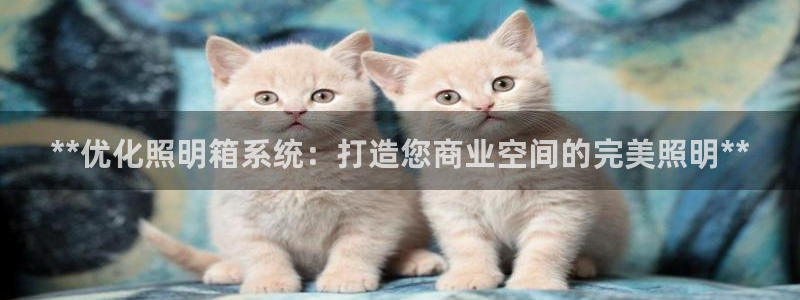 **优化照明箱系统:打造您商业空间的完美照明**
