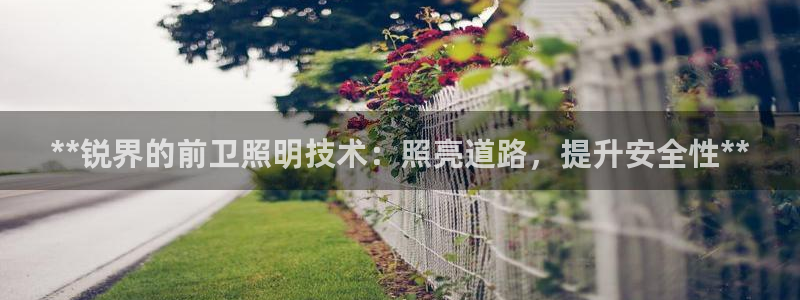 **锐界的前卫照明技术：照亮道路，提升安全性**