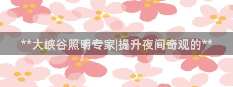 **大峡谷照明专家|提升夜间奇观的**