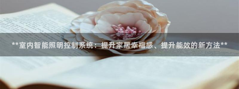 **室内智能照明控制系统:提升家居幸福感、提升能效的新方法**