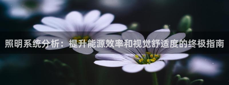 照明系统分析：提升能源效率和视觉舒适度的终极指南