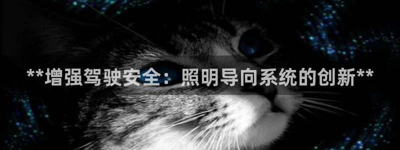 **增强驾驶安全:照明导向系统的创新**