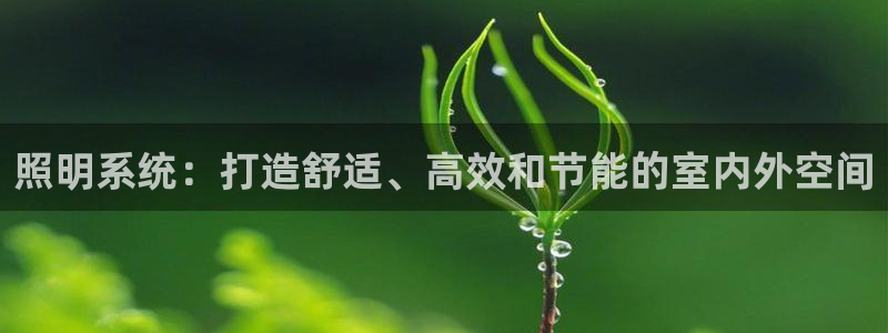 照明系统：打造舒适、高效和节能的室内外空间