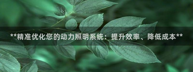 **精准优化您的动力照明系统：提升效率、降低成本**