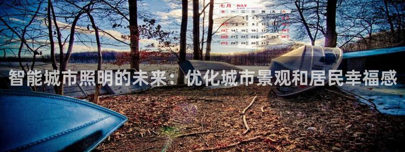 智能城市照明的未来:优化城市景观和居民幸福感