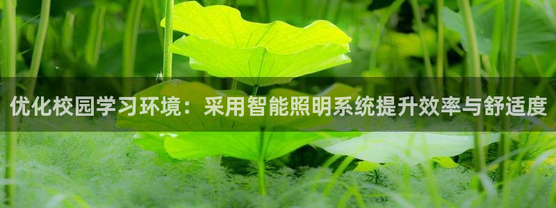 优化校园学习环境：采用智能照明系统提升效率与舒适度