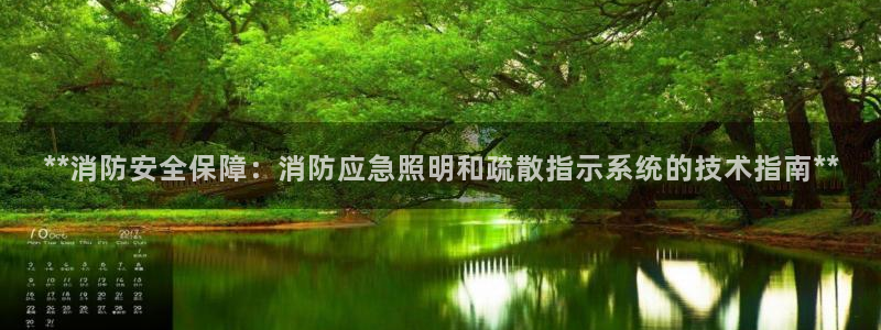 **消防安全保障:消防应急照明和疏散指示系统的技术指南**