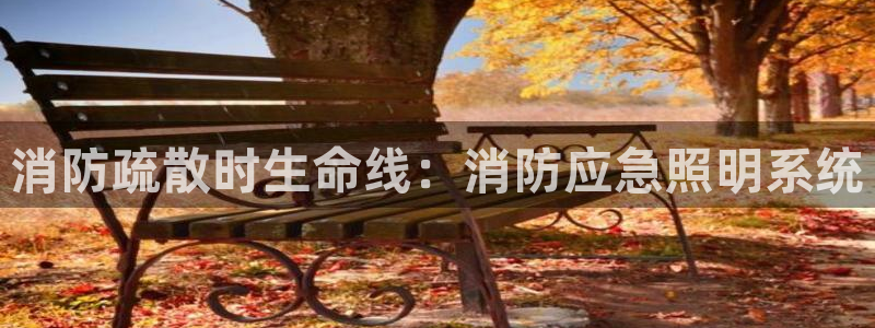 消防疏散时生命线：消防应急照明系统