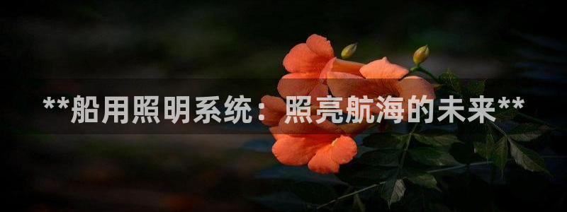 **船用照明系统：照亮航海的未来**