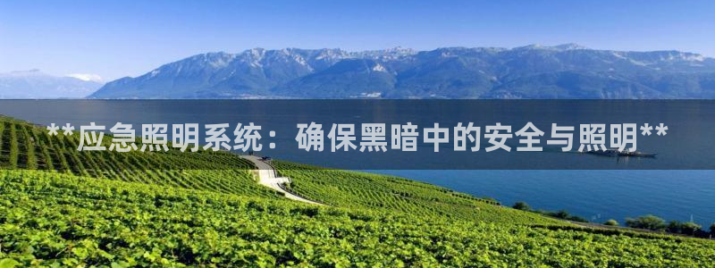 **应急照明系统：确保黑暗中的安全与照明**