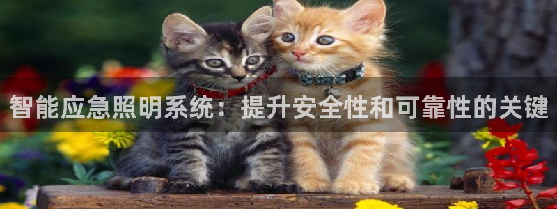 智能应急照明系统：提升安全性和可靠性的关键