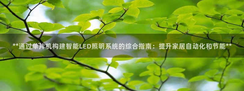 **通过单片机构建智能LED照明系统的综合指南:提升家居自动化和节能**