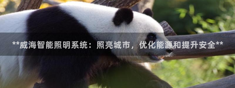 **威海智能照明系统:照亮城市,优化能源和提升安全**