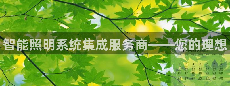 智能照明系统集成服务商——您的理想