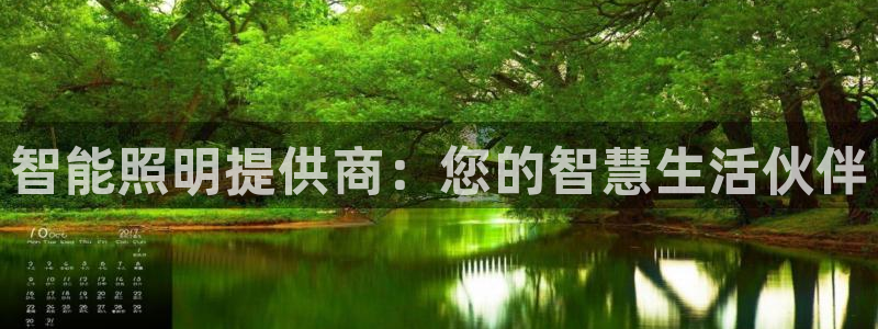 智能照明提供商：您的智慧生活伙伴
