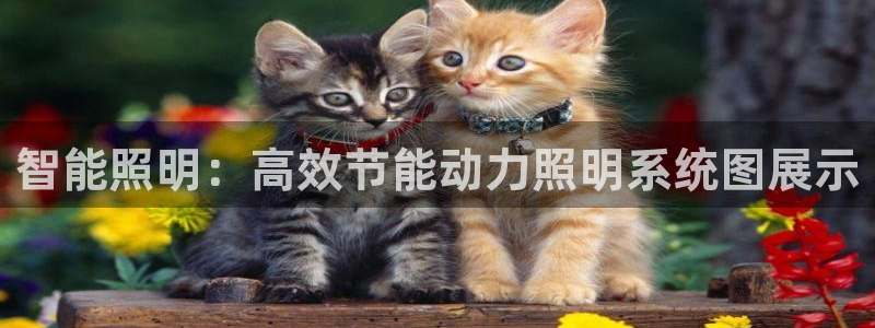 智能照明：高效节能动力照明系统图展示