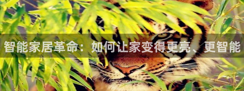 智能家居革命：如何让家变得更亮、更智能