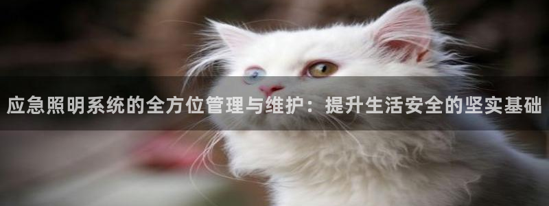 应急照明系统的全方位管理与维护:提升生活安全的坚实基础