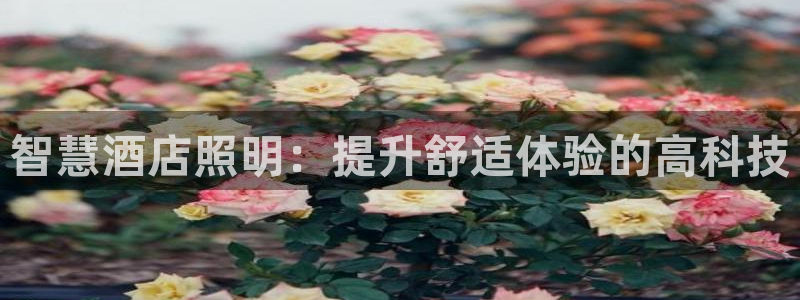 智慧酒店照明:提升舒适体验的高科技