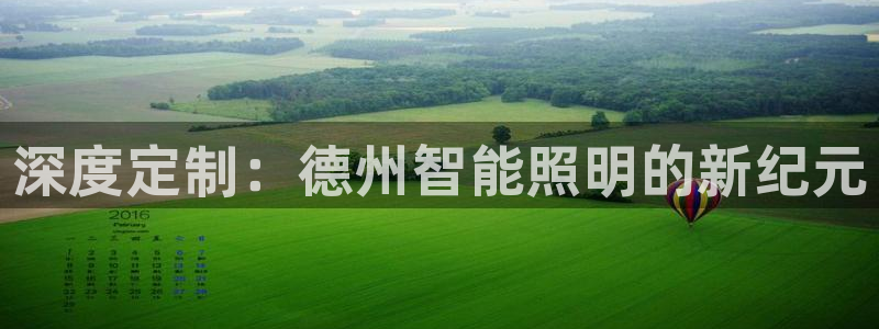 深度定制:德州智能照明的新纪元