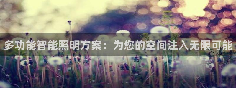 多功能智能照明方案：为您的空间注入无限可