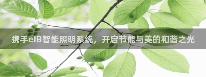 携手eIB智能照明系统，开启节能与美的和谐之光