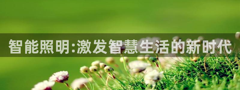 智能照明:激发智慧生活的新时代