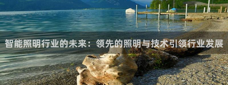 智能照明行业的未来:领先的照明与技术引领行业发展
