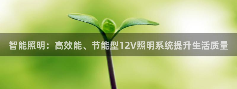 智能照明:高效能、节能型12V照明系统提升生活质量
