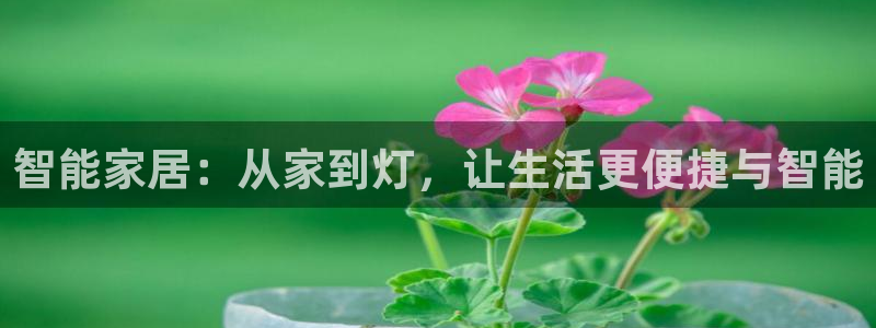 智能家居：从家到灯，让生活更便捷与智能