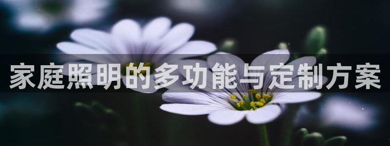 家庭照明的多功能与定制方案
