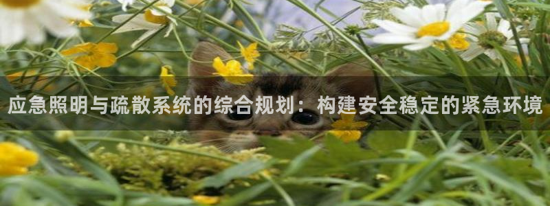 应急照明与疏散系统的综合规划：构建安全稳定的紧急环境