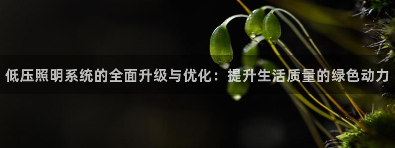 低压照明系统的全面升级与优化：提升生活质量的绿色动力