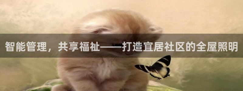 智能管理，共享福祉——打造宜居社区的全屋照明