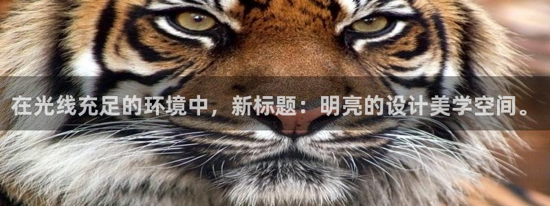 在光线充足的环境中，新标题：明亮的设计美学空间。