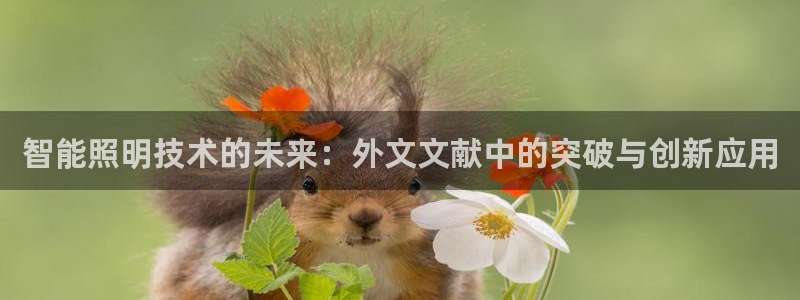 智能照明技术的未来:外文文献中的突破与创新应用