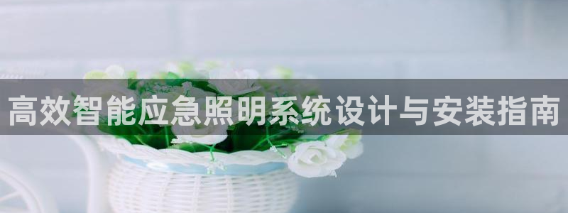 高效智能应急照明系统设计与安装指南