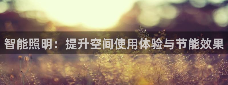 智能照明：提升空间使用体验与节能效果