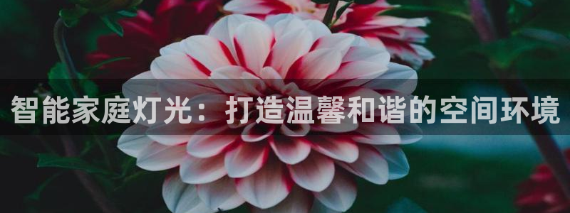 智能家庭灯光：打造温馨和谐的空间环境