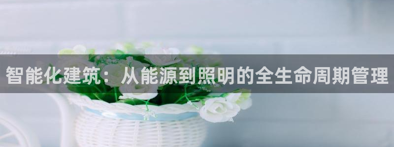 智能化建筑：从能源到照明的全生命周期管理