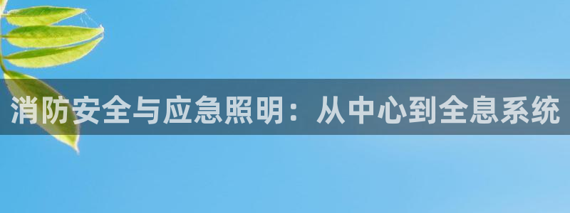 消防安全与应急照明：从中心到全息系统